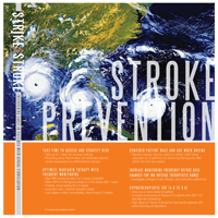 Panel 4: Stroke Prevention