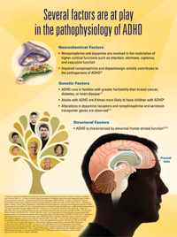 Panel 1: Several factors are at play in the pathophysiology of ADHD