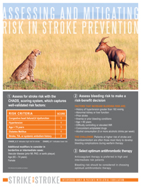 Panel 2: Assessing and Mitigating Risk in Stroke Prevention